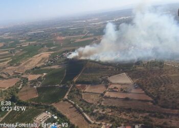 Incendio en El Puig activa medios terrestres y aéreos
