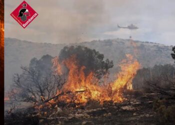 Incendio Ibi: Se movilizan más medios aéreos tras una noche sin descanso