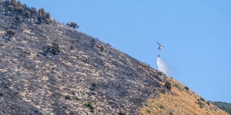 Incendios forestales en Alicante: situación actual en Ibi y Villena