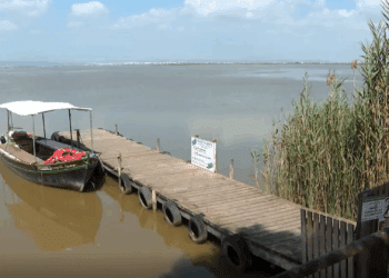El lago del Parque Natural de l'Albufera recibe hasta 1,5 toneladas de pesticidas al año 6 El lago del Parque Natural de l'Albufera recibe hasta 1,5 toneladas de pesticidas al año