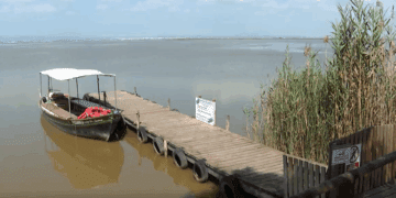 El lago del Parque Natural de l'Albufera recibe hasta 1,5 toneladas de pesticidas al año