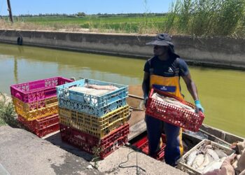 Mustapha, de la patera a la Albufera: primer extranjero en 775 años de pesca artesanal en El Palmar