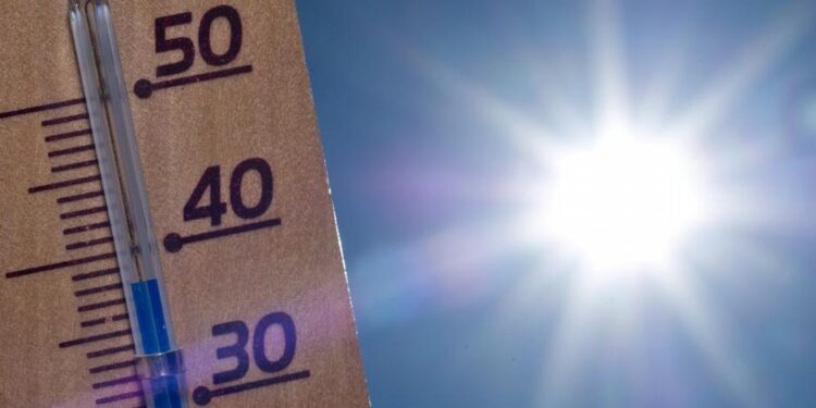 La Comunitat Valenciana registra 112 muertes vinculadas al calor en una semana, el peor balance de la última década 1 Alertas por calor en la Comunitat Valenciana y consejos para personas y mascotas