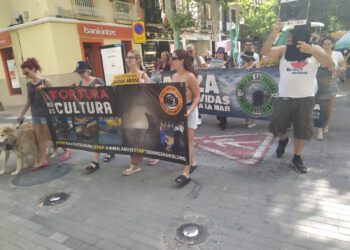 Protestas en Dénia por la abolición de los «Bous a la mar»: «Una tradición arcaica y desalmada»