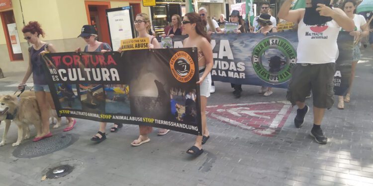 Protestas en Dénia por la abolición de los «Bous a la mar»: «Una tradición arcaica y desalmada»