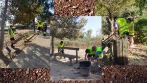 voluntariado limpieza puerto catarroja julio 2025