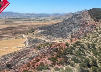 Extinguido el incendio forestal de Villena tras arrasar 56 hectáreas de monte