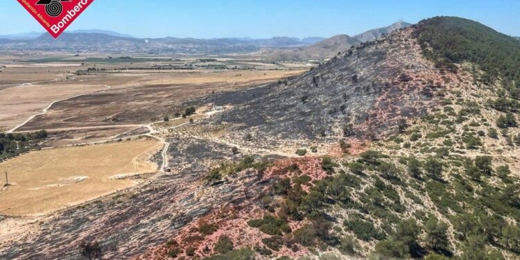 Extinguido el incendio forestal de Villena tras arrasar 56 hectáreas de monte