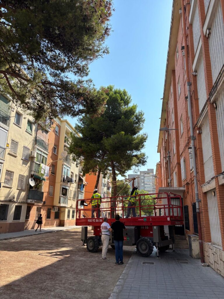 0804 Enllumenat la Fontsanta 2