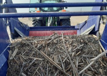 Valencia retira 66.000 kilos de maderas y cañas en la primera semana de limpieza de las playas del Sur