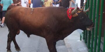 Chiva y el anacrónico torico de la cuerda 