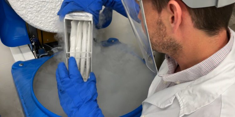 El Hospital La Fe incorpora un nuevo tratamiento con células CAR-T para pacientes con mieloma múltiple 1 El Hospital La Fe incorpora un nuevo tratamiento con células CAR-T para pacientes con mieloma múltiple