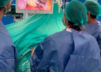 El Hospital General de Valencia realiza cirugías laparoscópicas para eliminar las piedras en la vesícula y en la vía biliar en una sola intervención 2 El Hospital General de València realiza cirugías laparoscópicas para eliminar las piedras en la vesícula y en la vía biliar en una sola intervención