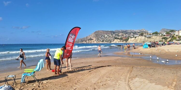 Calp reabre al baño un tramo de la playa del Arenal-Bol tras una posible contaminación residual