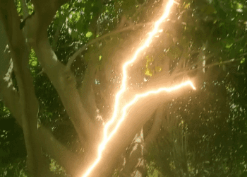 Fallece la madre alcanzada por un rayo junto a su hija en La Marina de Valencia