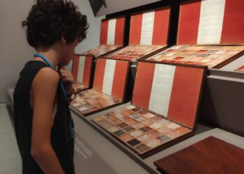 Su Majestad, escoja Castellón