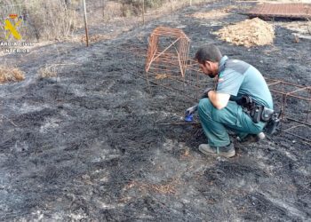 El Seprona logra esclarecer las causas de un incendio ocurrido en la rambla de Canales de Titaguas 3 El Seprona logra esclarecer las causas de un incendio ocurrido en la rambla de Canales de Titaguas