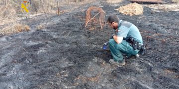 El Seprona logra esclarecer las causas de un incendio ocurrido en la rambla de Canales de Titaguas