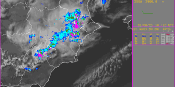 Los rayos de las tormentas producen pequeños incendios forestales en el interior sur de Valencia
