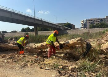 Comienzan los trabajos de limpieza del cauce del Turia para retirar los restos de la DANA y preparar el río ante las lluvias de otoño