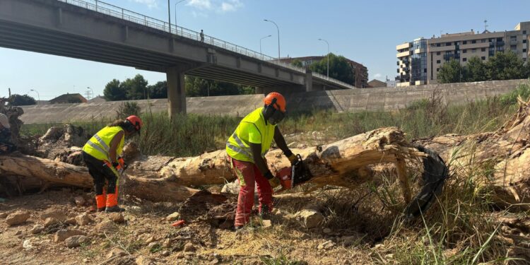Comienzan los trabajos de limpieza del cauce del Turia para retirar los restos de la DANA y preparar el río ante las lluvias de otoño 1 Comienzan los trabajos de limpieza del cauce del Turia para retirar los restos de la DANA y preparar el río ante las lluvias de otoño