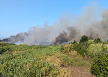 Declarado un incendio de cañar junto al Riu Canyoles en Xativa