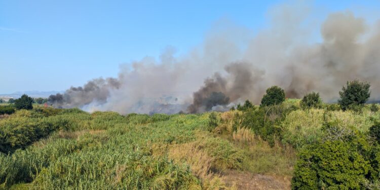 Declarado un incendio de cañar junto al Riu Canyoles en Xativa
