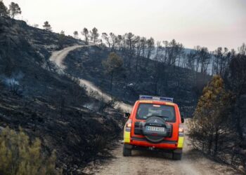 Incendios en la CV: Teresa de Cofrentes sigue con reproducciones y esta mañana 3 incendios más
