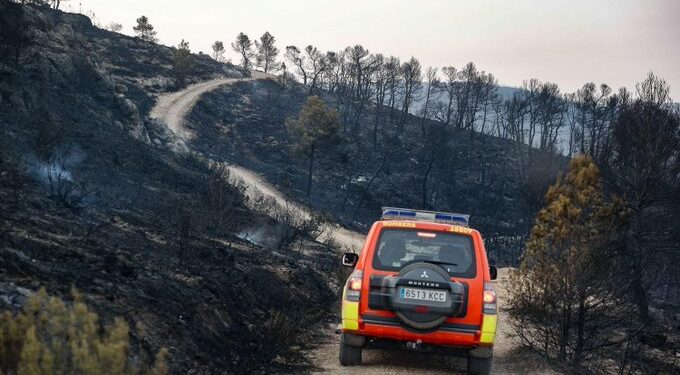 Incendios en la CV: Teresa de Cofrentes sigue con reproducciones y esta mañana 3 incendios más 1 Incendios en la CV: Teresa de Cofrentes sigue con reproducciones y esta mañana 3 incendios más