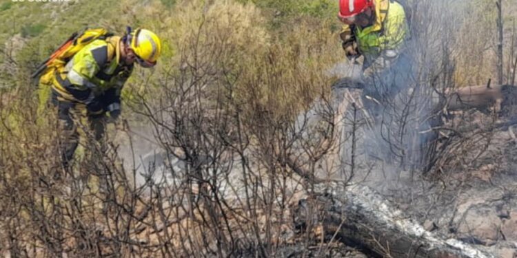 Nuevo incendio de vegetación en Carlet, se da por estabilizado el de Artana y extinguido el de Utiel