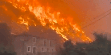 La Comunitat Valenciana envía un contingente de ayuda para colaborar en la extinción de los incendios forestales de León