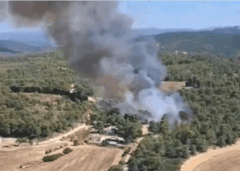 Declarado un incendio en Almansa y estabilizados los de Alfarrasí y Benimodo en la provincia de Valencia