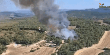 Declarado un incendio en Almansa y estabilizados los de Alfarrasí y Benimodo en la provincia de Valencia