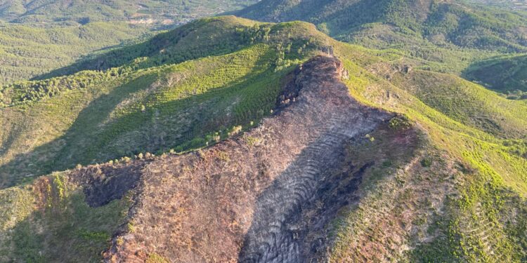 Los bomberos acaban con varios incendios forestales en el día de hoy en la Comunitat Valenciana