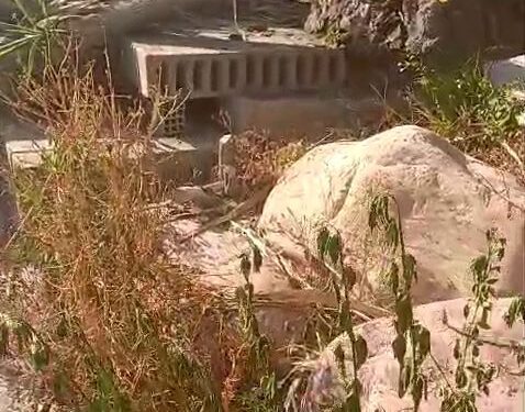 Los socialistas denuncian la caída de varios árboles en Benicalap por la “falta de gestión” de Catalá 1 Los socialistas denuncian la caída de varios árboles en Benicalap por la “falta de gestión” de Catalá