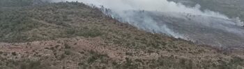 Primeros desalojos y 11 medios aéreos en el Incendio Forestal de Teresa de Cofrentes