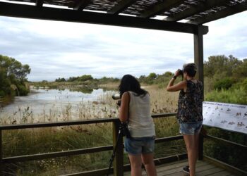 Cierre de accesos y prohibición de actividades en el Parque Natural de l'Albufera