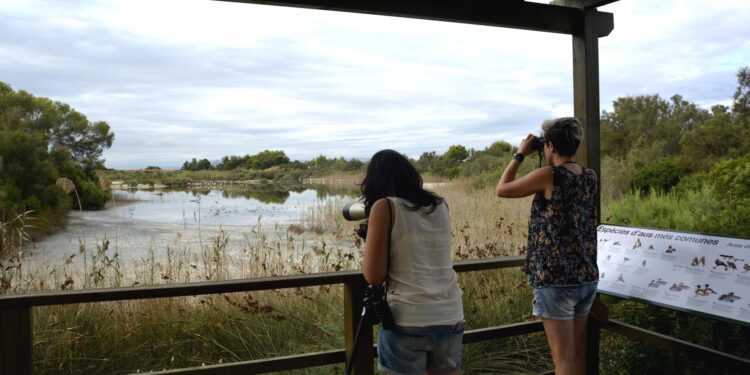 Cierre de accesos y prohibición de actividades en el Parque Natural de l'Albufera