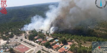 Declarado un Incendio forestal junto a la Urbanización Cumbres de Valencia en Moixent