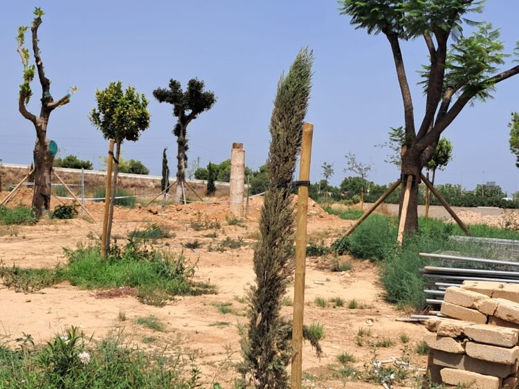 Picanya: trabajan al sol, a más de 30ºC y sin agua los 80 trabajadores contratados con fondos del ministerio para al recuperación