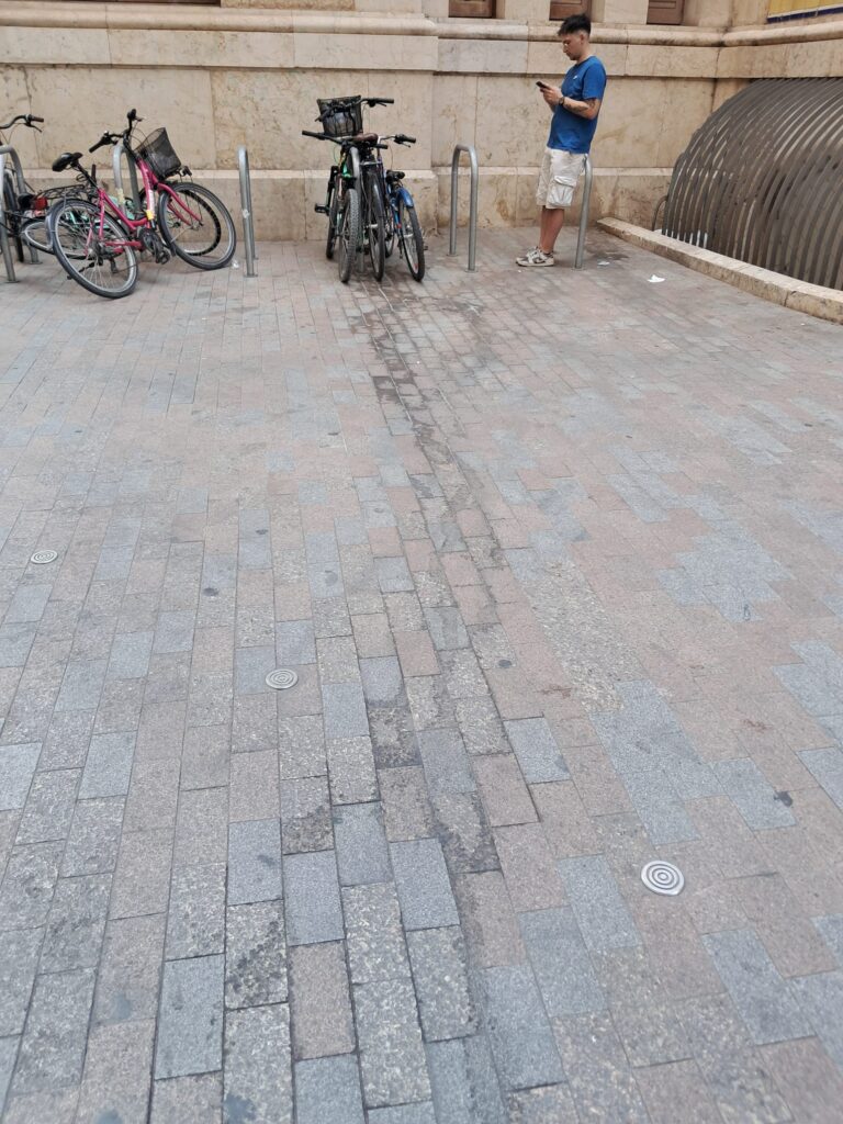 WhatsApp Image 2025 08 14 at 17.43.011