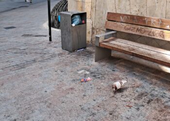 La Valencia de María José Catalá en agosto: calles sucias y plantas secas vs zonas selváticas