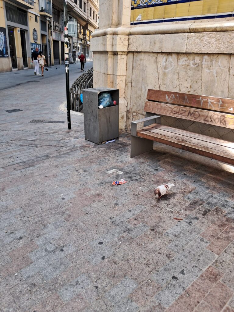 La Valencia de María José Catalá en agosto: calles sucias y plantas secas vs zonas selváticas