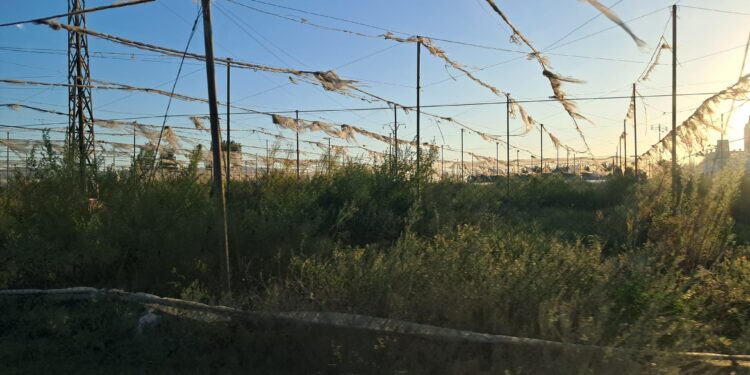Las ratas de tierra firme: cuando el barco del poder empieza a hacer agua