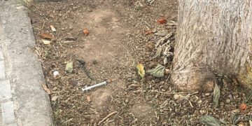 Valencia, ciudad tomada por la droga, el vandalismo y el abandono institucional