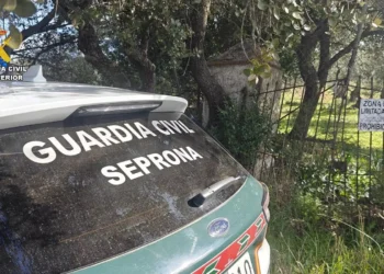 El Seprona investiga a dos mujeres por construir de forma ilegal en un entorno rural protegido en Castelló