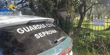 El Seprona investiga a dos mujeres por construir de forma ilegal en un entorno rural protegido en Castelló