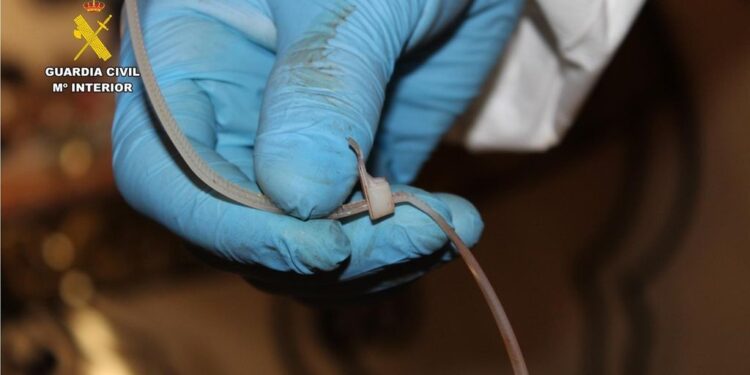 Tres años después, la Guardia Civil resuelve el crimen de Guardamar: detenidos el hijo de la víctima y un amigo como presuntos autores del homicidio