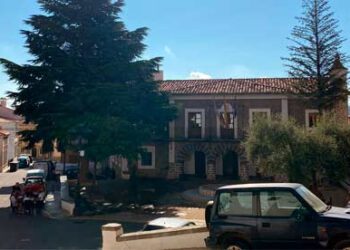 Polémica en Bejís por el intento de talar el cedro de la plaza del Ayuntamiento