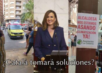 Catalá no responde: Segunda carta a la alcaldesa exigiendo soluciones urgentes al calor